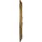 Ekena Millwork Roped Medway Ceiling Medallion (Fits Canopies up to 7 1/2"), 12 1/4"OD x 7 1/2"ID x 7/8"P, Pale Gold CM12MEPAS - alternate 4